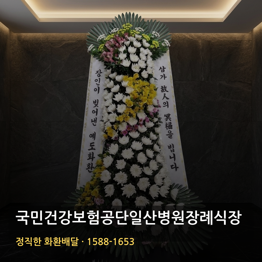 국민건강보험공단일산병원장례식장 근조화환 배달 | 근처꽃집 화환가격 | 당일 꽃배달 썸네일
